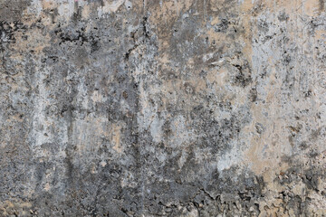 Fototapeta premium Dirty concrete wall texture close up