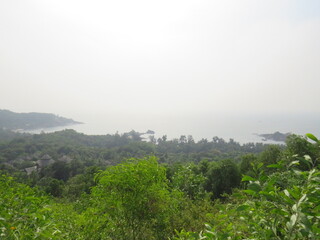 Fototapeta premium Gokarna Jungle Beach