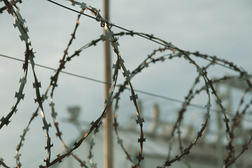 Barbed wire on the fence in the early morning. Background