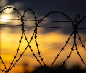 Barbed wire on the fence in the early morning. Background