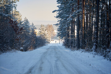 leśna zimowa ścieżka © Marcin Łazarczyk
