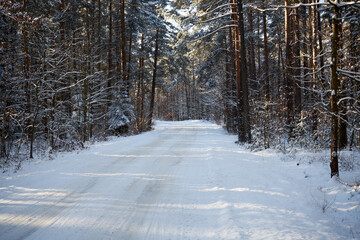 leśna zimowa ścieżka © Marcin Łazarczyk