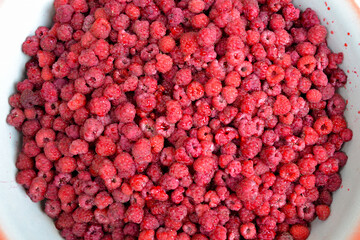 Raspberry background. Organic berries harvest. Fresh raspberries from village garden. Berry for desserts, cakes, smoothie or jam.