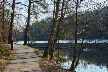 A walkway in a forest by a lake with shadows from the sun