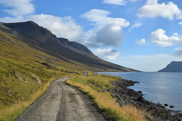 Fototapeta na wymiar Straße durch den Mjóifjörður