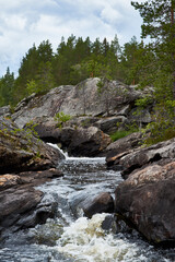A small brook streaming down between rocks in a forest in summer time