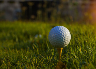 golf ball on tee in a beautiful golf course with morning sunshine.