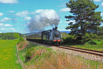 Fototapeta na wymiar Caledonian Railway locomotive 828 near Fisherman's Crossing, Strathspey Railway, Scotland.