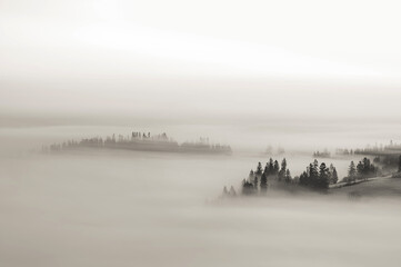 Fototapeta Pienińskie lasy we mgle. obraz