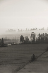 Pienińskie lasy we mgle.