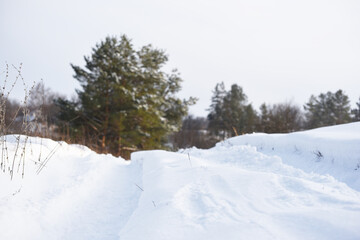 snowy nature in forest,winter photo