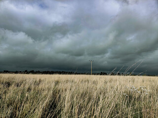 The field before the storm.