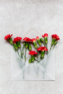 Flatlay von roten Nelken in einem transparentem Briefumschlag auf grauem Untergrund von oben