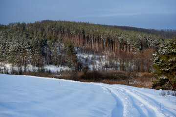 Fototapeta na wymiar snowy nature in forest,winter photo