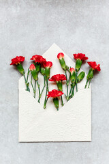 Frühlings flat lay, rote Blumen in weißem Büttenpapierumschlag handgeschöpft auf neutralem...