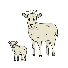 Set of cartoon farm goat with horns and a kid stand sideways and look straight. Isolated Animals are on white background