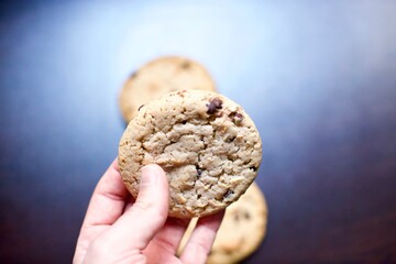 hand holding chocolate cookies. blurry background.