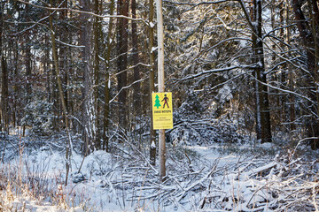 znak ,zakaz wstępu do lasu