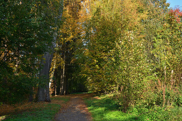 path in autumn park