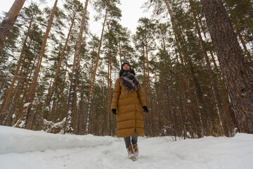 A girl in a brown down jacket and beige boots walks through the winter snow forest against the background of tall pines on a winter day. High quality photo