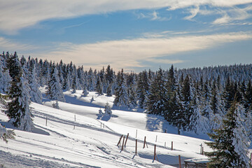 Sudety Mountains covered in snow on a beautiful sunny day. Alpine views 