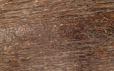 weathered natural wood surface closeup, brown background