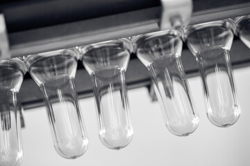 Preforms for making PET plastic bottles. Blank for production of containers for milk or beer. Line...