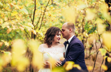 
bride and groom hugging in yellow autumn trees