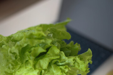 Online Greengrocer Shopping. Online shop. Home. Choice. Green. Gardening