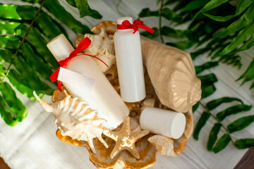 Close up image of homemade cosmetics ingredients. aroma theme. organic cosmetics with extracts of herbs sea salt in big decor shell on leaf green background