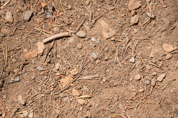 ground background with small stones