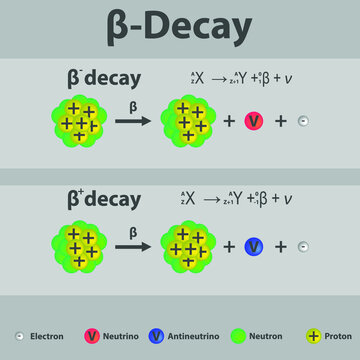 neutron beta decay