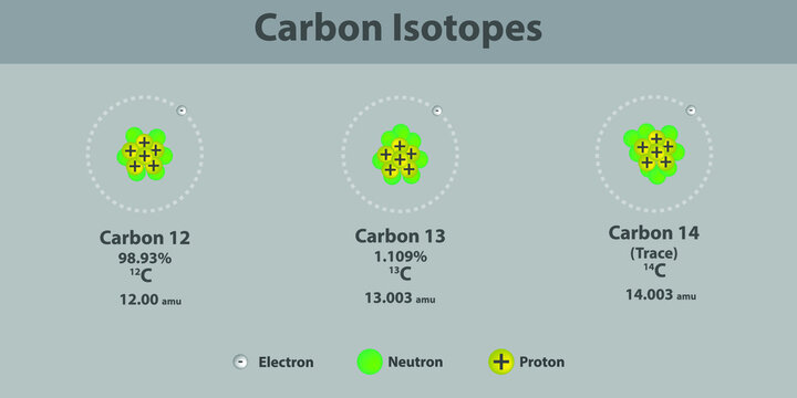 Carbon-14, atomic structure - Stock Image - C047/5352 - Science