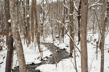 Fototapeta premium Winter River 1