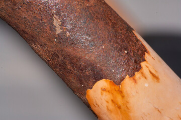 Oxido