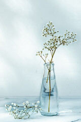 white on white light and shadow glass vase with flowers on marble surface selective focus