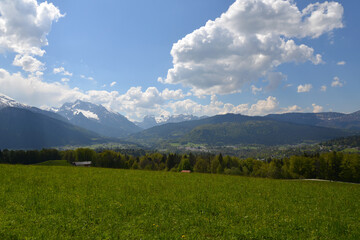Obraz premium landscape in the summer