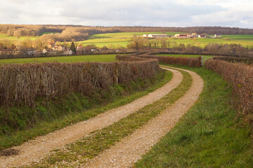 Fototapeta na wymiar Chemin de ferme ou de prés, paysage de campagne française / Path - Farm road - meadow road in a french countryside landscape