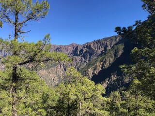 Amazing caldera de Taburiente and pine forest in La Palma island. Canary Islands, Spain. Hiking in the national park.