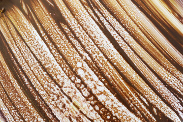 abstract background with brown paint lines