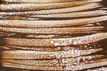 abstract background with brown paint lines