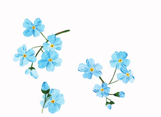 clip art with watercolor flowers blue - forget-me-not