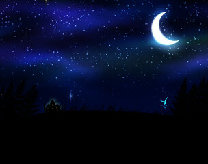 Obraz na płótnie Canvas night sky with moon and stars illustration for background or wallpaper
