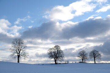 Landscape of snowy field and trees on horizon in beautiful winter scenery and evening light. Czestocin, Kashubia, Poland