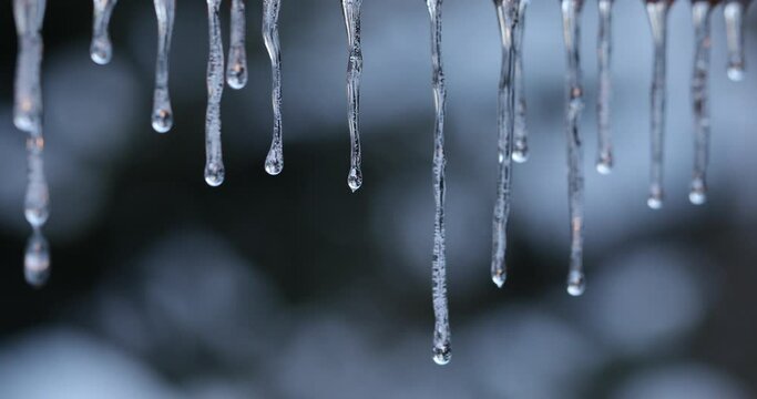 Icicles are melting , Melting Icicles , Drops From Melting Snow , Water drop