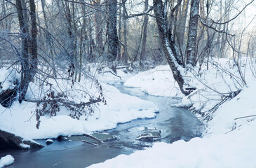 Fototapeta na wymiar Stream on a winter day.