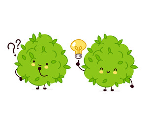 Cute funny marijuana weed bud character with question mark and idea lightbulb. Vector flat line cartoon kawaii character illustration icon. Isolated on white background. Weed face character mascot