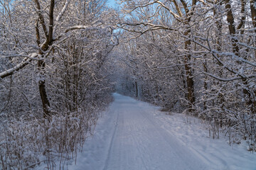 Obraz premium A picturesque snow-covered path in the winter forest.