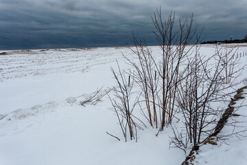 Small barren trees looking down a massive buildup of snow, sand and ice on Lake Michigan on gloomy overcast day in Chicago