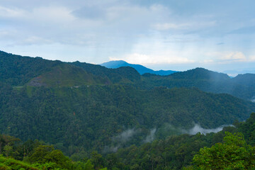 Fototapeta premium landscape with fog